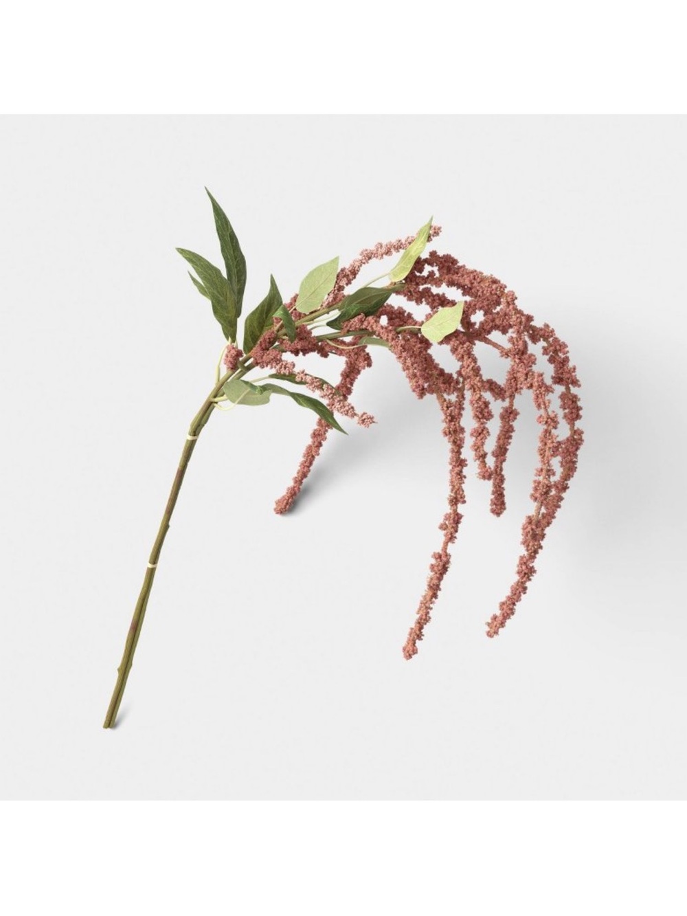 Set of Two Mauve Amaranthus Stems , 29”